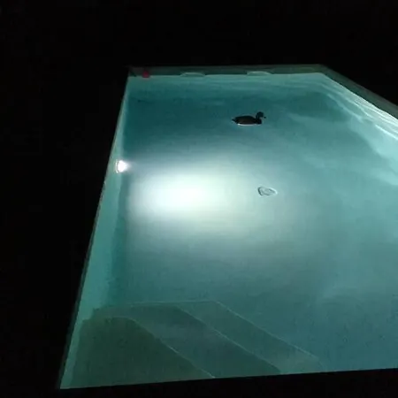 Avec Piscine, A La Campagne !!! * Boisseron